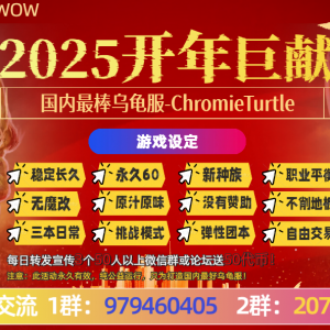 2025乌龟服